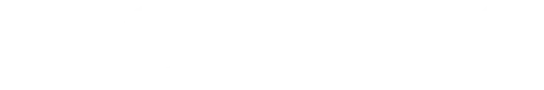 modulis transparent logo