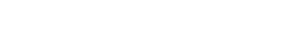 modulis transparent logo
